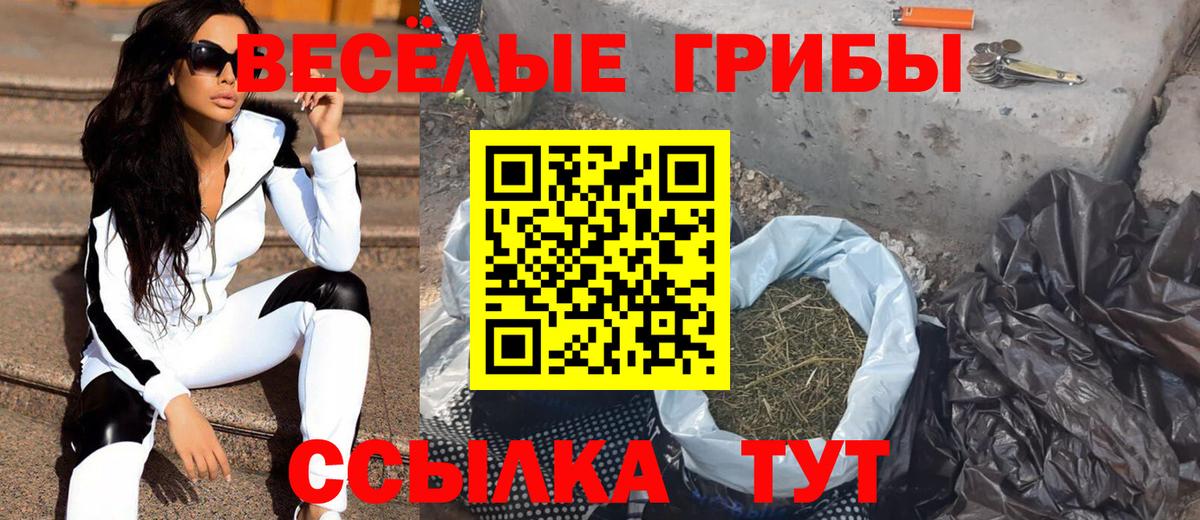 Псилоцибиновые грибы Psilocybe  Вход с VPN  Уфа 