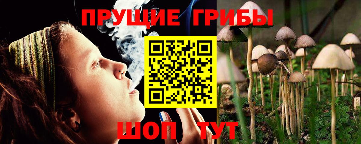 Галлюциногенные грибы MAGIC MUSHROOMS Уфа